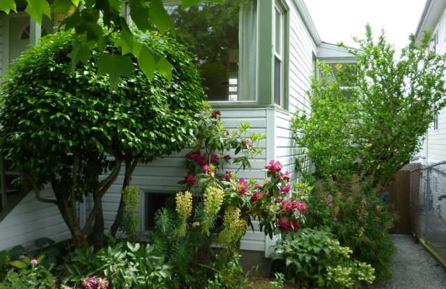 A Gardener's Paradise Gallery 3