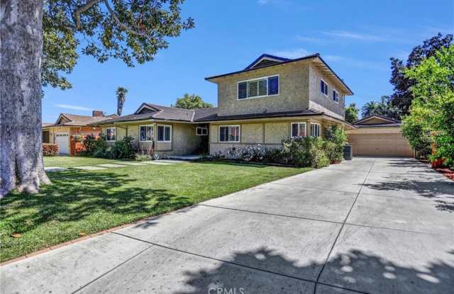 100 Arthur photos photos