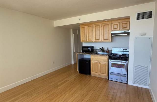 Studio Apartment in The Belvedere Towers Gallery 4