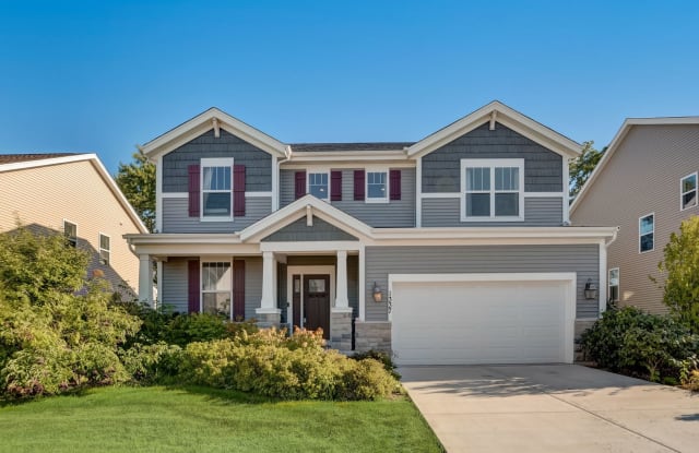 1337 Highpoint Court - 1337 Highpoint Court, Bartlett, IL 60103
