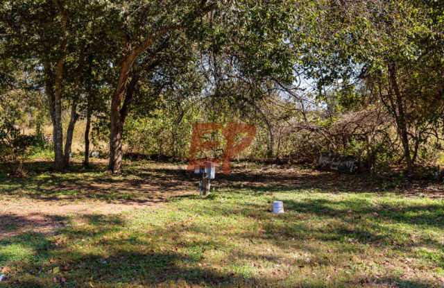 3166 Texas 14 photos photos