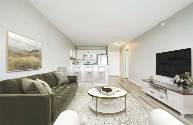Chestnut Hill Tower Gallery 2