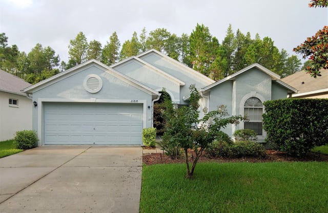 21818 Waverly Shores Ln - 21818 Waverly Shores Lane, Pasco County, FL 34637