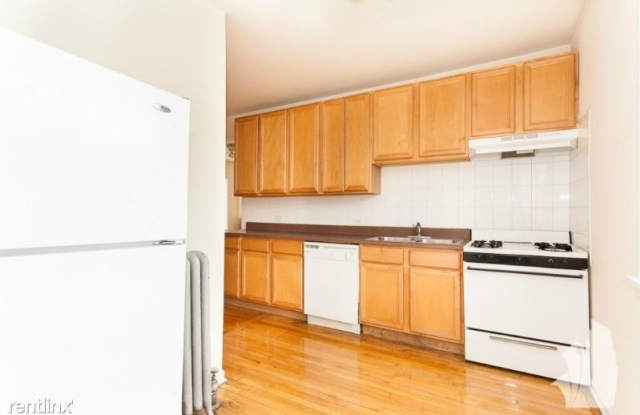 717 W Barry Ave 1E - 717 W Barry Ave, Chicago, IL 60657