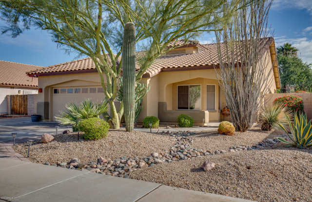 4019 N 141ST Drive Gallery 2