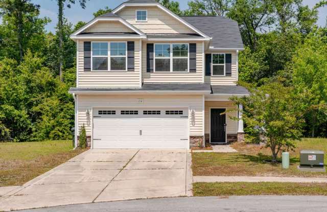 154 Poplar Branch Way, Hampstead, NC 28443 photos photos