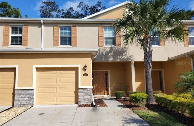 13936 SNAPPER FIN LANE - 13936 Snapper Fin Ln, Tampa, FL 33637
