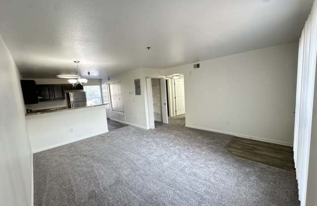 10774 Belle Creek Boulevard Gallery 3