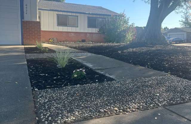 Almaden Home!  Corner lot, great location! Gallery 3