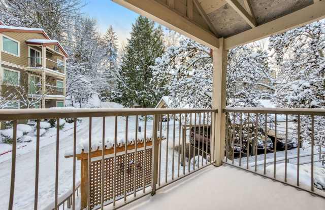 Modern Top-Floor 2BR/2BA Near Downtown Issaquah photos photos