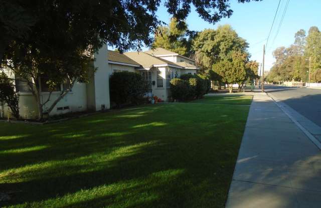 DRACENA ST 1909 Gallery 1