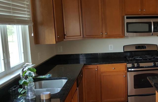 43482 HOPESTONE TERRACE Gallery 3