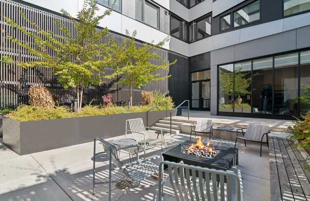 Analog PDX photos photos