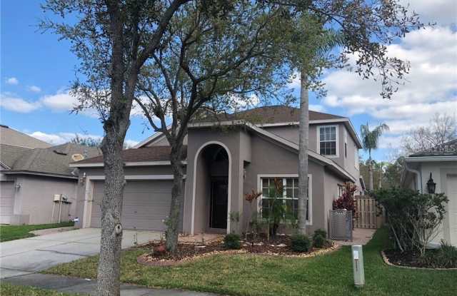 10203 WOODFORD BRIDGE STREET - 10203 Woodford Bridge Street, Westchase, FL 33626
