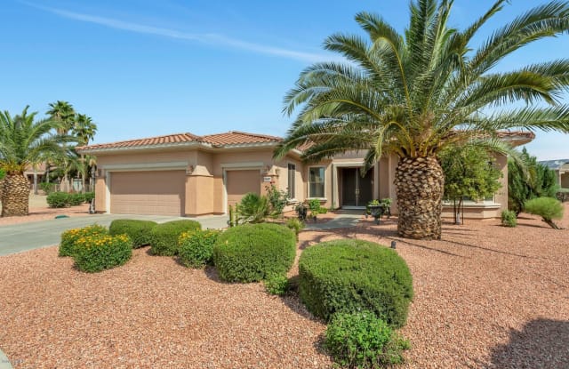 16480 W Juniper Court - 16480 West Juniper Court, Surprise, AZ 85387