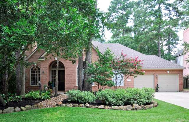 51 Candle Pine Place - 51 Candle Pine Place, The Woodlands, TX 77381