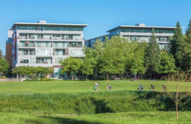 Riverpark photos photos