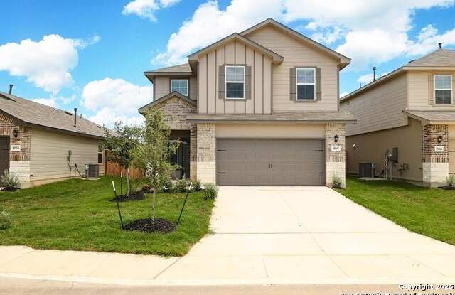 15562 Mint Patch Meadow photos photos