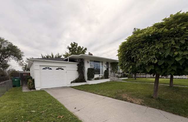 Central Reno with Bonus Space Gallery 4