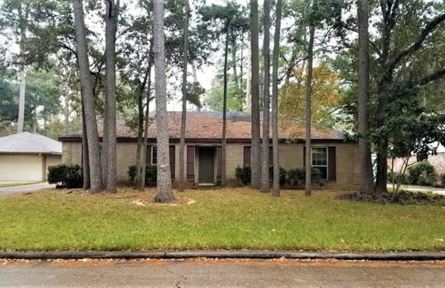 25323 Lynbriar Lane - 25323 Lynbriar Lane, Spring, TX 77373