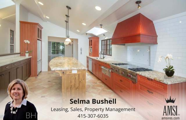 New Beautiful 3bd/2.5ba home with office in Mill Valley - 60 Hazel Avenue, Mill Valley, CA 94941