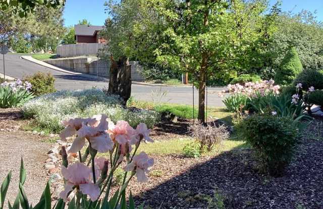 Cute 2 bed 1 bath apartment in nice neighborhood - 2462 Hawkins Street, Klamath Falls, OR 97601