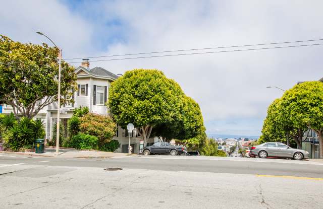 295 Castro Gallery 3