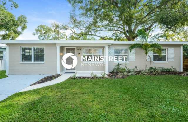 2009 East Patterson Street - 2009 East Patterson Street, Tampa, FL 33610