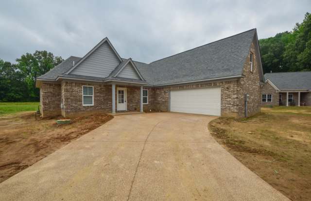 NEW CONSTRUCTION 2021 - 3 bed, 2 bath in Atoka. photos photos