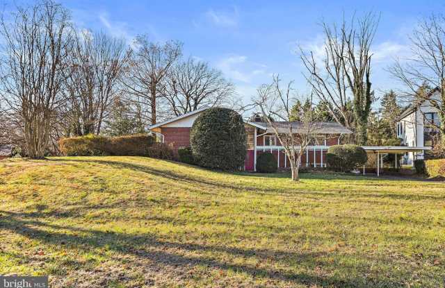1126 ORMOND Court Gallery 2
