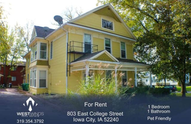 803 East College Street - 803 East College Street, Iowa City, IA 52240