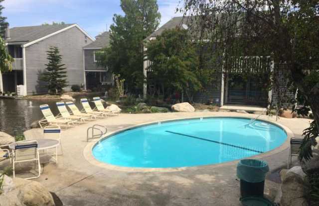 25423 Pine Creek Lane Gallery 2