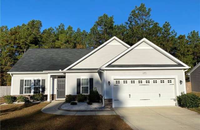 249 English Oak Drive - 249 English Oak Drive, Harnett County, NC 28323