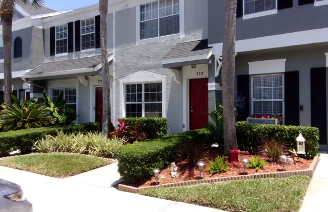 223 Countryside Key Blvd - 223 Countryside Key Boulevard, Oldsmar, FL 34677