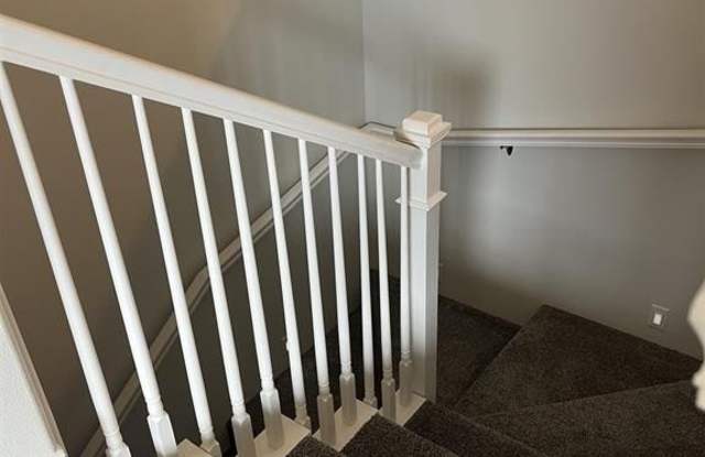 1638 Stella Ct Gallery 2