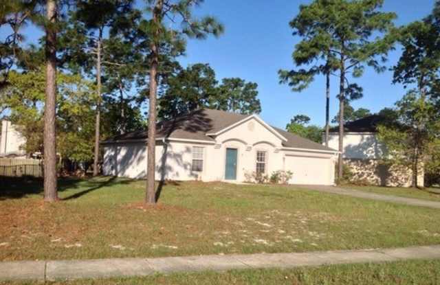Move in condition 3 Bedroom 2 Bath 2 Car Garage Call Carole Arcaro 386-216-4900 Deltona Lakes Realty photos photos