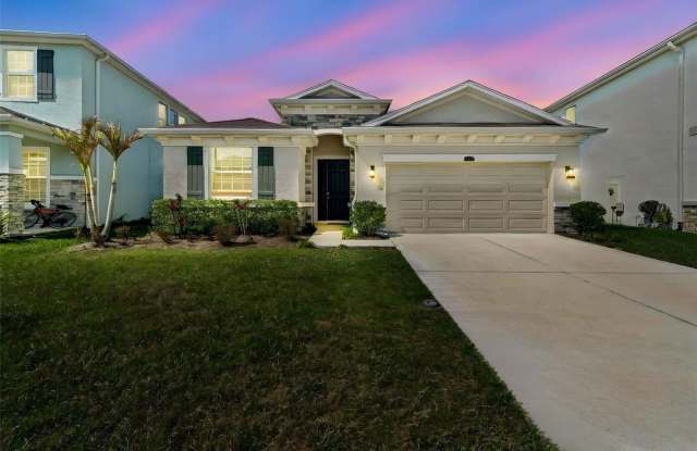 2959 STORYBROOK PRESERVE DRIVE photos photos