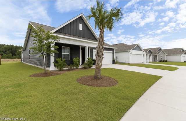 1119 King Eider Way photos photos