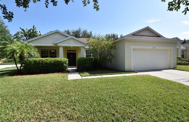 11102 HOLLY CONE DRIVE - 11102 Holly Cone Drive, Riverview, FL 33569