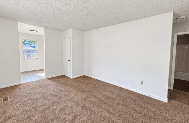 Newly Renovated 3 bedroom, 1 bath home Gallery 4