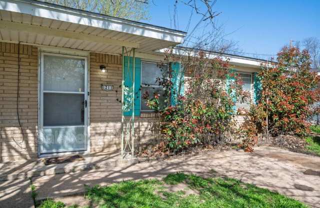 1211 NW 3rd Avenue - 1211 Northwest 3rd Avenue, Mineral Wells, TX 76067