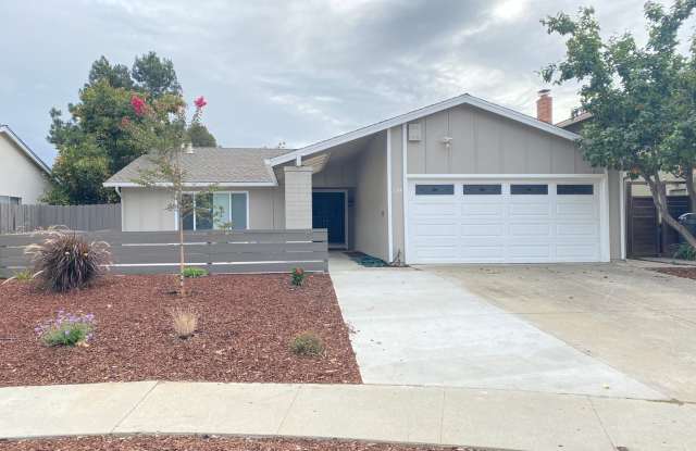 Remodeled 3 Bedroom 2 Bath Home in the Los Paseos Area of San Jose - 134 Nashua Court, San Jose, CA 95139
