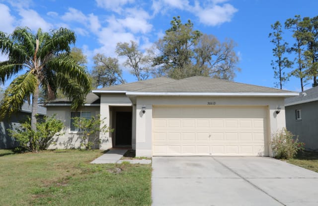 30613 Midtown Ct - 30613 Midtown Court, Wesley Chapel, FL 33545