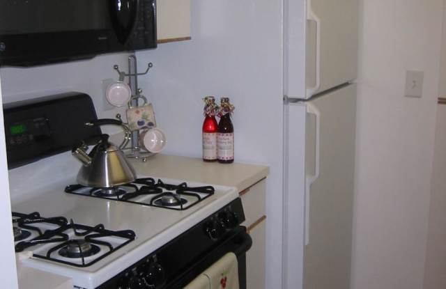66 Sherman Rd. - 66 Sherman Road, Boston, MA 02467