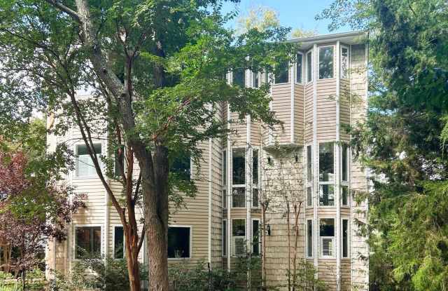 Potomac View Gallery 3