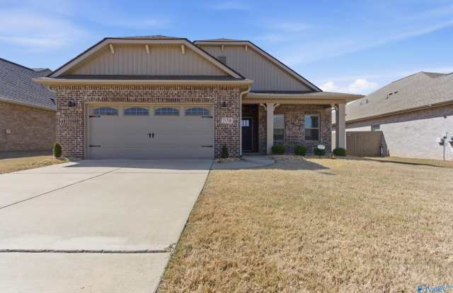 21718 Natures Cove Drive - 21718 Nature’s Cove Drive, Athens, AL 35613