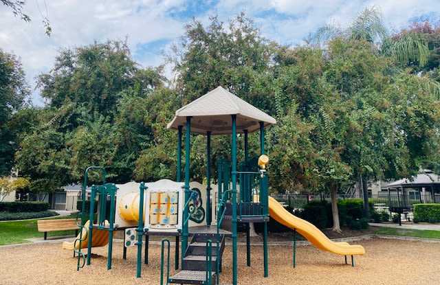 Live Oak photos photos