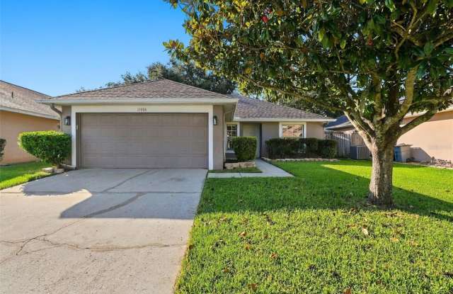 10806 BROWN TROUT Circle Gallery 1
