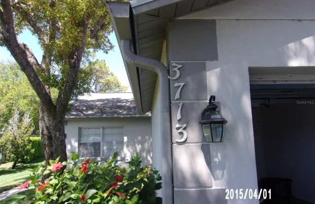 3713 RIVER OAKS COURT - 3713 River Oaks Court, Pasco County, FL 34655