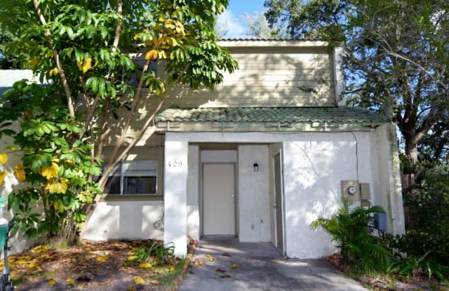 429 Sand Lime Rd. - 429 Sand Lime Road, Winter Garden, FL 34787